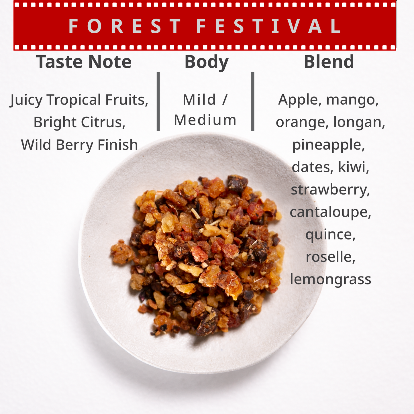 Forest Festival