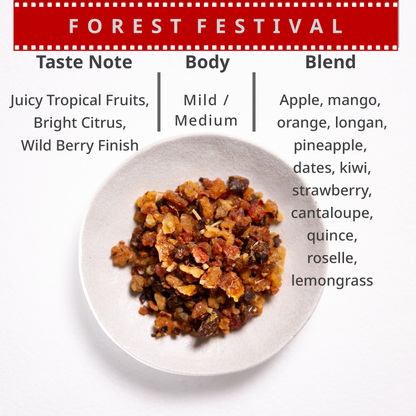 Forest Festival