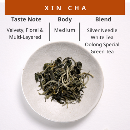 Xin Cha